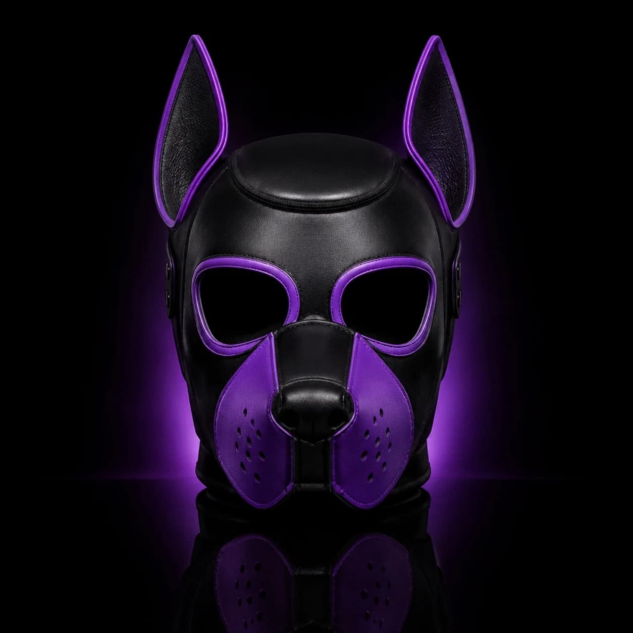 A maker's ultraviolet pup hood